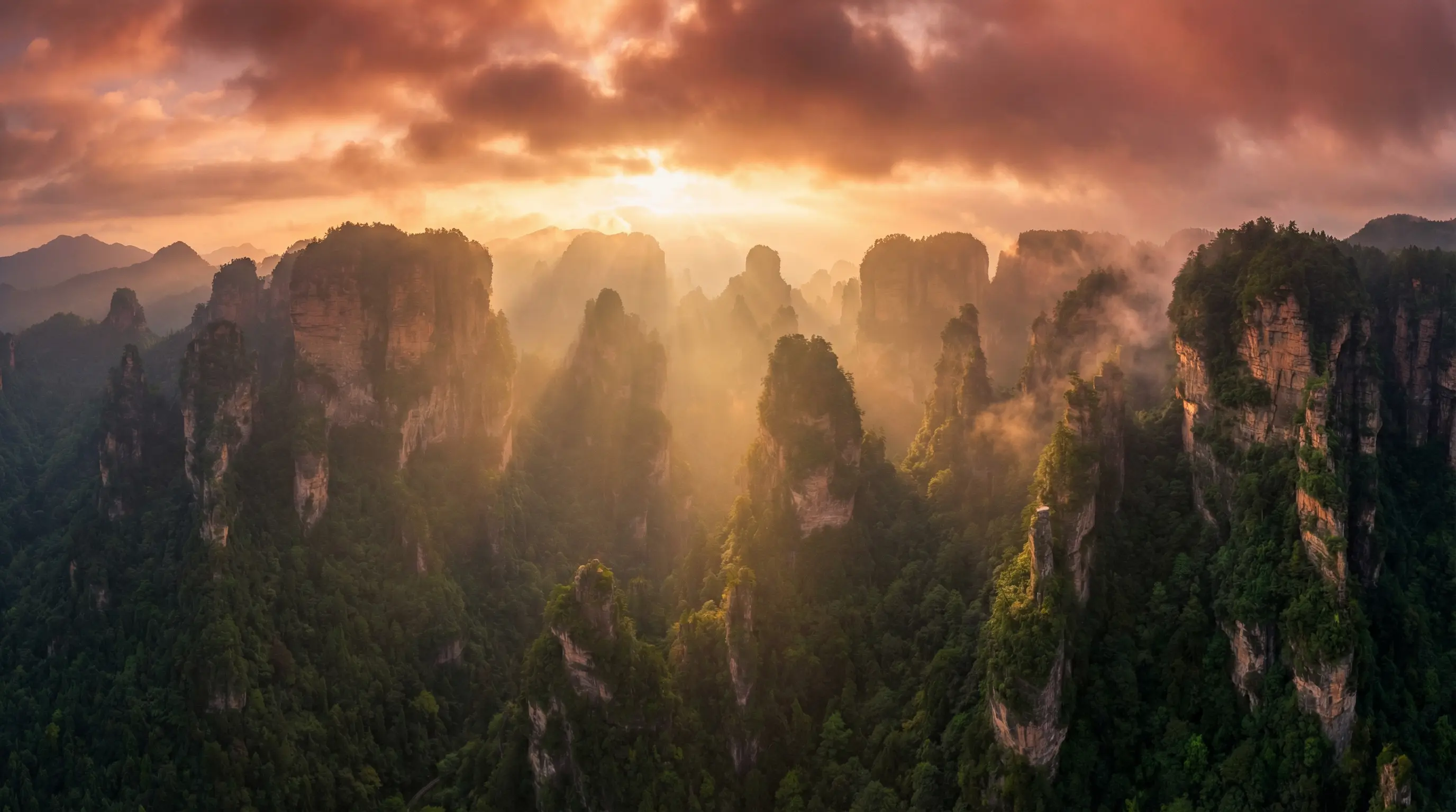 伊波拉病毒快播 自然风光视频封面